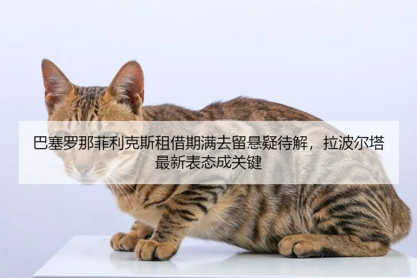 ba-sai-luo-na-fei-li-ke-si-zu-jie-qi-man-qu-liu-xuan-yi-dai-jie-la-bo-er-ta-zui-xin-biao-tai-cheng-guan-jian-2-397.jpg