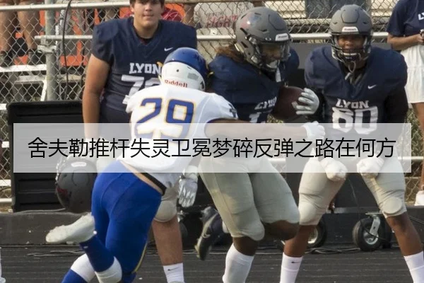 舍夫勒推杆失灵卫冕梦碎反弹之路在何方