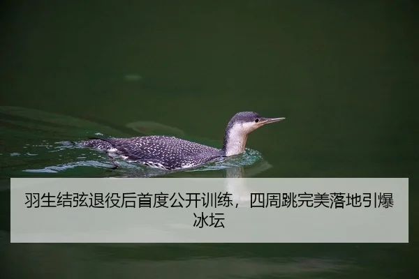 yu-sheng-jie-xian-tui-yi-hou-shou-du-gong-kai-xun-lian-si-zhou-tiao-wan-mei-luo-di-yin-bao-bing-tan-2-129.jpg