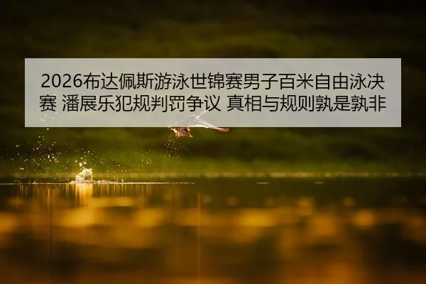 2026布达佩斯游泳世锦赛男子百米自由泳决赛 潘展乐犯规判罚争议 真相与规则孰是孰非