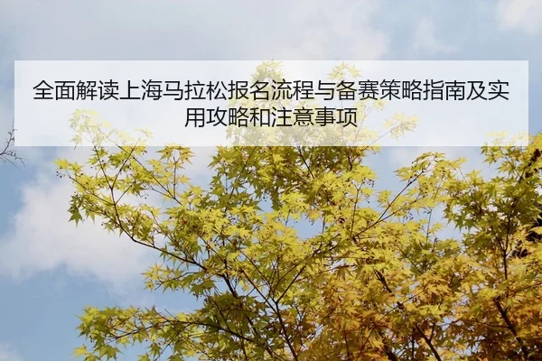 quan-mian-jie-du-shang-hai-ma-la-song-bao-ming-liu-cheng-yu-bei-sai-ce-lve-zhi-nan-ji-shi-yong-gong-lve-he-zhu-yi-shi-2-720.jpg
