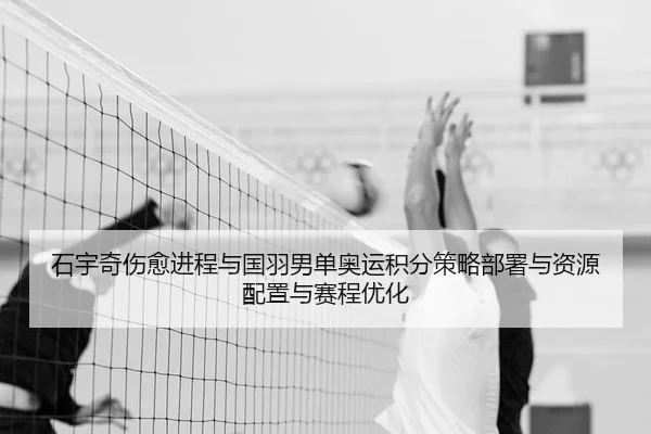 shi-yu-qi-shang-yu-jin-cheng-yu-guo-yu-nan-dan-ao-yun-ji-fen-ce-lve-bu-shu-yu-zi-yuan-pei-zhi-yu-sai-cheng-you-hua-2-487.jpg